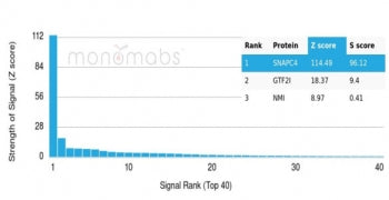 Analysis of a HuProt(TM) microarray containing more than 19,000 full-length human proteins using SNA