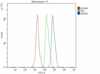 Flow Cytometry analysis of SH-SY5Y cells using anti-MAGI2 antibody. Overlay histogram showing SH-SY5