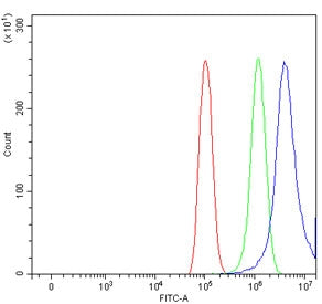 Flow cytometry testing of human PC-3 cells with WNT10B antibody at 1ug/million cells (blocked with g