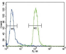 MUSK Antibody