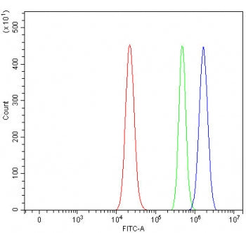 SWAN Antibody / RBM12