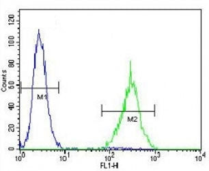 SOX1 antibody flow cytometric analysis of NCI-H460 cells (right histogram) compared to a negative co