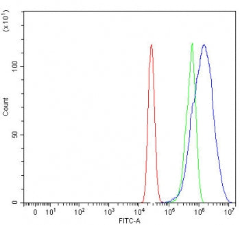 NSMCE2 Antibody / E3 SUMO-protein ligase NSE2 / MMS21