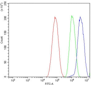 Flow cytometry testing of human HepG2 cells with Clathrin heavy chain antibody at 1ug/million cells (blocked with goat sera); Red=cells alone, Green=isotype control, Blue= Clathrin heavy chain antibody.