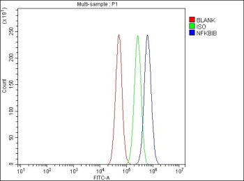 Flow Cytometry analysis of PC-3 cells using anti-NFKBIB antibody. Overlay histogram showing PC-3 cel