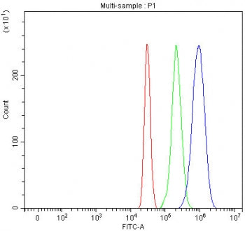 IGF2R Antibody M6PR