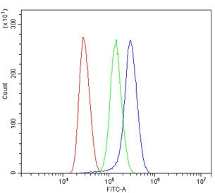Flow cytometry testing of human Jurkat cells with Alpha 1 Catenin antibody at 1ug/million cells (blo
