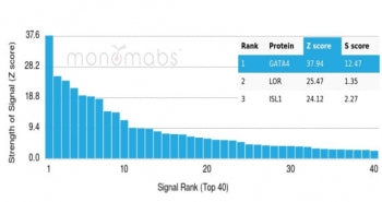 Analysis of a HuProt(TM) microarray containing more than 19,000 full-length human proteins using GAT