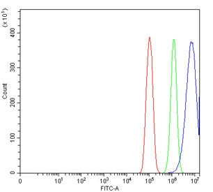 PC4 Antibody / Positive cofactor 4 / SUB1