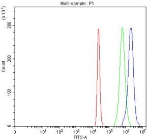 Flow cytometry testing of fixed human 293T cells with SLC22A10 antibody at 1ug/million cells (blocke