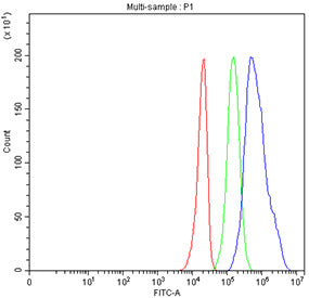 Flow cytometry testing of fixed human U-251 cells with MC2R antibody at 1ug/million cells (blocked w