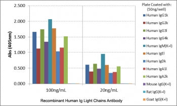 Human Ig Light Chains Antibody