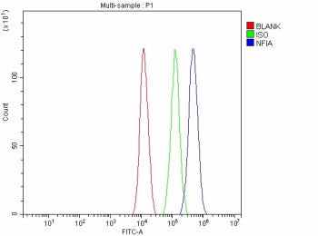 Flow Cytometry analysis of JK cells using anti-NFIA antibody. Overlay histogram showing JK cells sta