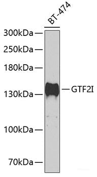 Immunohistochemistry of paraffin-embedded Mouse brain using RAB3IP Polyclonal Antibody at dilution of 1:100 (40x lens).