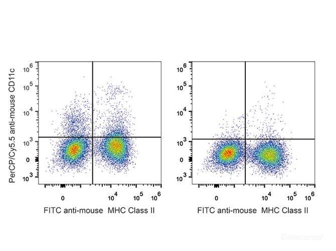 C57BL/6 murine splenocytes are stained with PerCP-Cyanine5.5 Anti-Mouse CD11c Antibody and FITC Anti-Mouse MHC II (I-A/I-E) Antibody(Left). Splenocytes stained with FITC Anti-Mouse MHC II (I-A/I-E) Antibody(Right) are used as control.