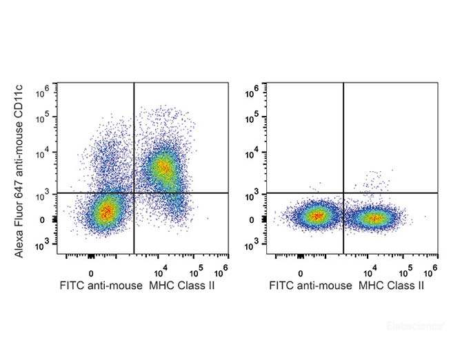 C57BL/6 murine splenocytes are stained with AF647 Anti-Mouse CD11c Antibody and FITC Anti-Mouse MHC II (I-A/I-E) Antibody(Left). Splenocytes stained with FITC Anti-Mouse MHC II (I-A/I-E) Antibody(Right) are used as control.
