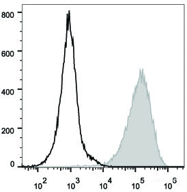 Mouse abdominal macrophages elicited by starch broth are stained with PE/Cyanine7 Anti-Mouse CD80 Antibody(filled gray histogram). Unstained macrophages (blank black histogram) are used as control.