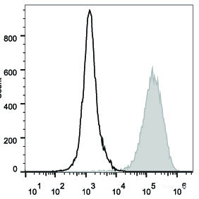 Mouse abdominal macrophages elicited by starch broth are stained with PE Anti-Mouse CD80 Antibody(filled gray histogram). Unstained macrophages (blank black histogram) are used as control.