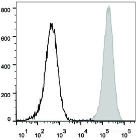 Mouse abdominal macrophages elicited by starch broth are stained with APC Anti-Mouse CD80 Antibody(filled gray histogram). Unstained macrophages (blank black histogram) are used as control.