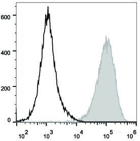 Mouse abdominal macrophages elicited by starch broth are stained with PE/Cyanine5.5 Anti-Mouse CD80 Antibody(filled gray histogram). Unstained macrophages (blank black histogram) are used as control.