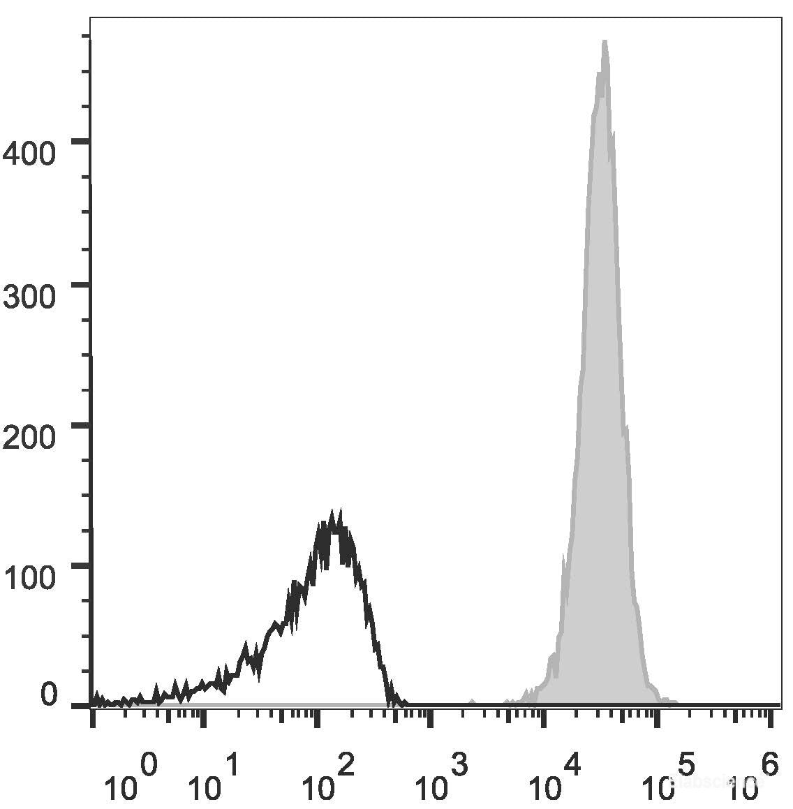 C57BL/6 murine splenocytes are stained with APC Anti-Human/Mouse/Rat CD47 Antibody(filled gray histogram). Unstained splenocytes (empty black histogram) are used as control.