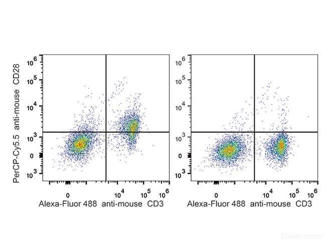 C57BL/6 murine splenocytes are stained with PerCP-Cyanine5.5 Anti-Mouse CD28 Antibody and AF488 Anti-Mouse CD3 Antibody(Left). Splenocytes stained with AF488 Anti-Mouse CD3 Antibody(Right) are used as control.
