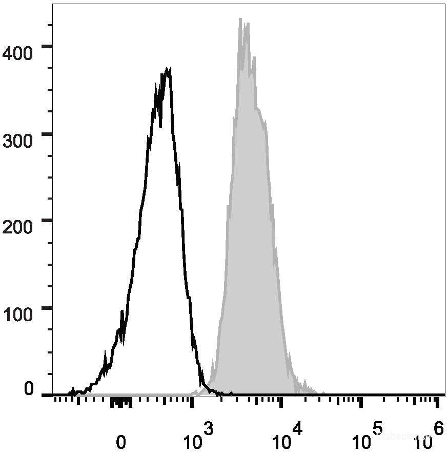 Human peripheral blood lymphocytes are stained with AF488 Anti-Human CD147 Antibody(filled gray histogram). Unstained lymphocytes (empty black histogram) are used as control.