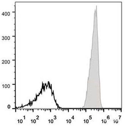 Human peripheral blood lymphocytes are stained with APC Anti-Human CD47 Antibody(filled gray histogram). Unstained lymphocytes(empty black histogram) are used as control.