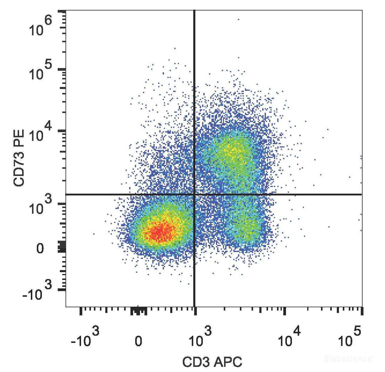 C57BL/6 murine splenocytes are stained with PE Anti-Mouse CD73 Antibody and APC Anti-Mouse CD3 Antibody.