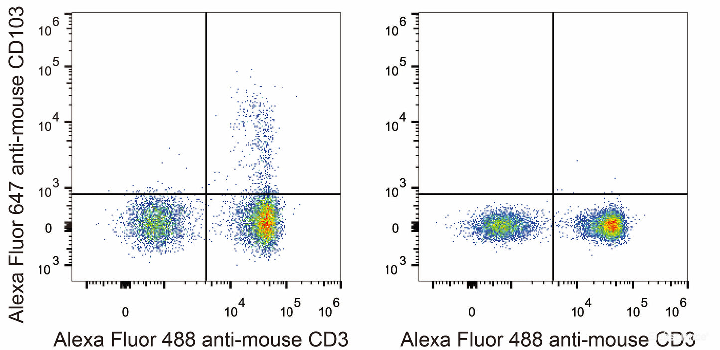 C57BL/6 murine splenocytes are stained with AF647 Anti-Mouse CD103 Antibody and AF488 Anti-Mouse CD3 Antibody(Left). Splenocytes stained with AF488 Anti-Mouse CD3 Antibody (Right) are used as control.
