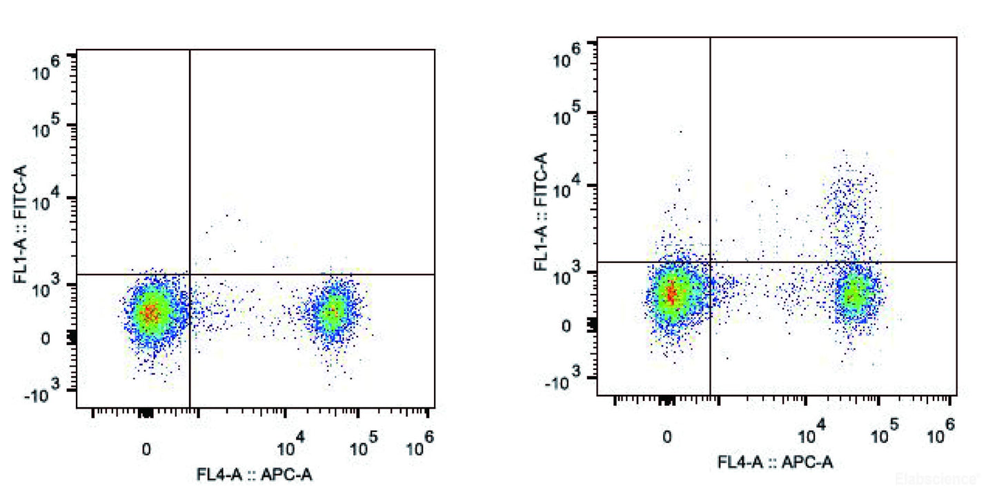C57BL/6 murine splenocytes are stained with AF488 Anti-Mouse CD25 Antibody and APC Anti-Mouse CD4 Antibody(Right). Splenocytes stained with APC Anti-Mouse CD4 Antibody(Left) are used as control.