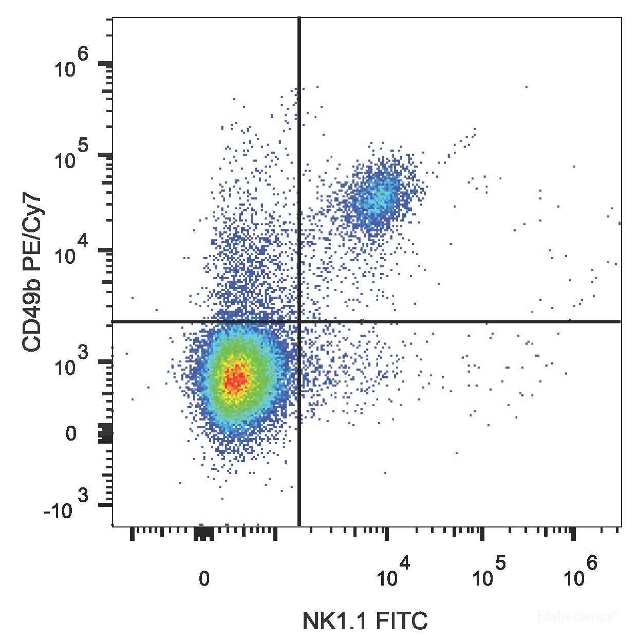 C57BL/6 murine splenocytes are stained with PE/Cyanine7 Anti-Mouse CD49b Antibody and FITC Anti-Mouse CD161/NK1.1 Antibody.