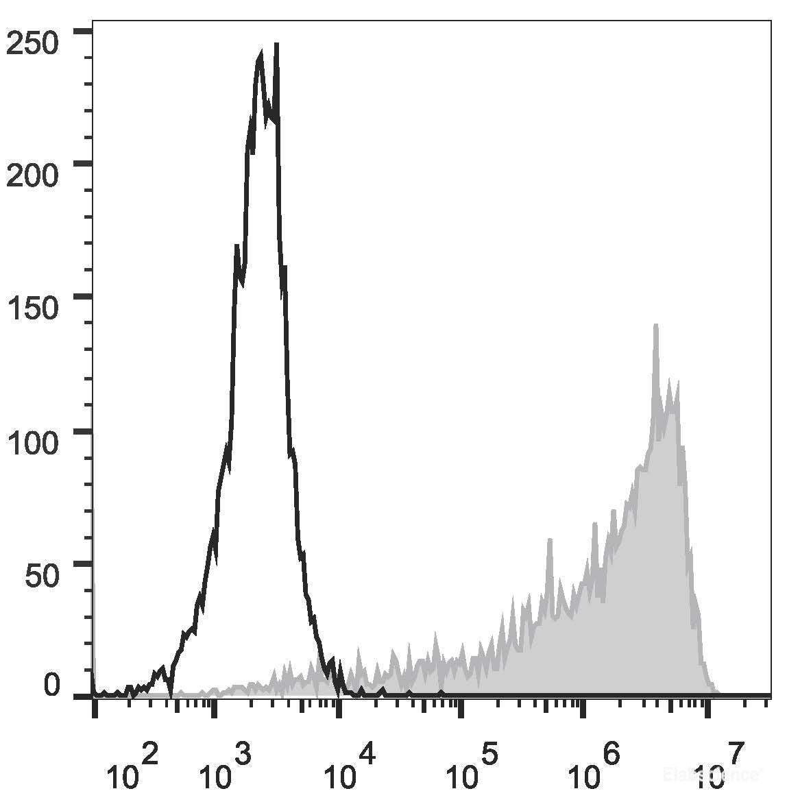 Mouse abdominal macrophages elicited by starch broth are stained with PE Anti-Mouse CD206 Antibody(filled gray histogram)or PE Rat IgG2a, κ Isotype Control(empty black histogram).