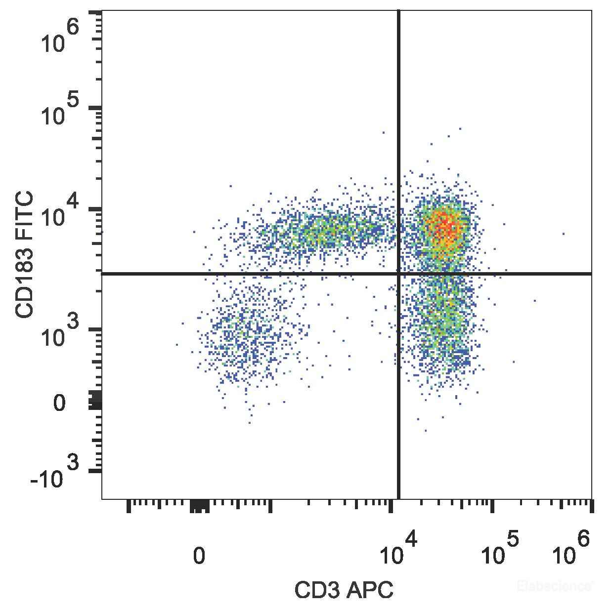 Human peripheral blood lymphocytes are stained with FITC Anti-Human CD183/CXCR3 Antibody and APC Anti-Human CD3 Antibody.