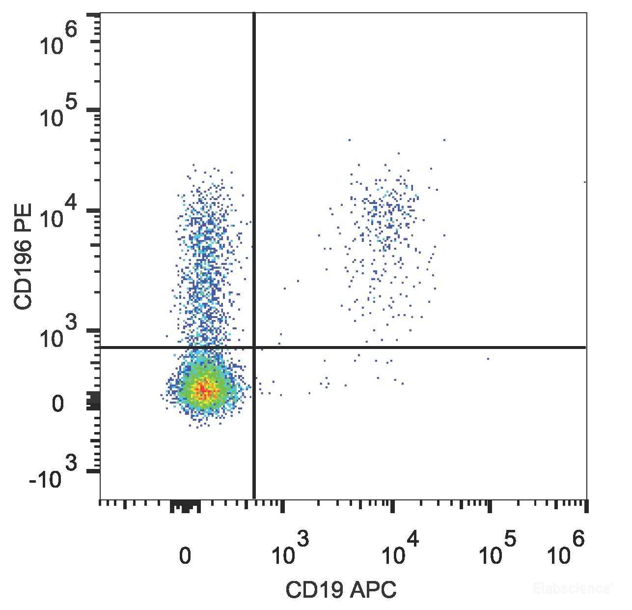 Human peripheral blood lymphocytes are stained with PE Anti-Human CD196/CCR6 Antibody and APC Anti-Human CD19 Antibody.