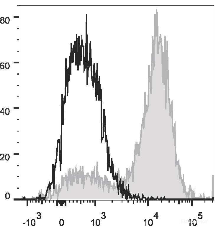 Mouse abdominal macrophages elicited by starch broth are stained with PerCP/Cyanine5.5 Anti-Mouse CD14 Antibody(filled gray histogram). Unstained macrophages (blank black histogram) are used as control.
