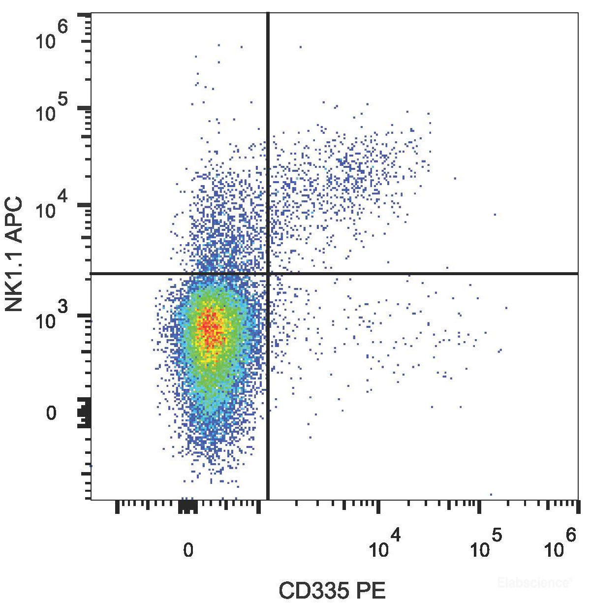 C57BL/6 murine splenocytes are stained with PE Anti-Mouse CD335 Antibody and APC Anti-Mouse CD161/NK1.1 Antibody.