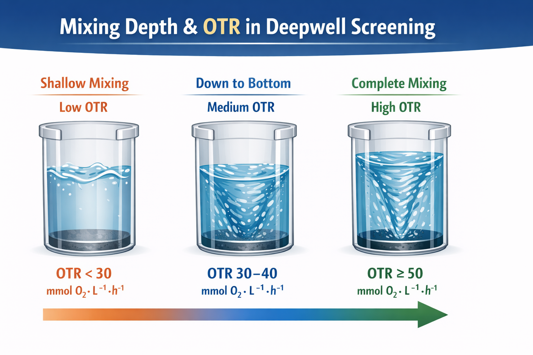 Deepwell Plate Screening에서 OTR(산소전달율)이 중요한 이유