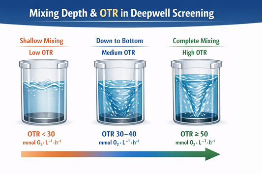 Deepwell Plate Screening에서 OTR(산소전달율)이 중요한 이유