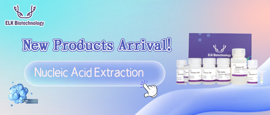 🧬 병원성 미생물 및 식물 조직 샘플을 위한 신제품 DNA/RNA 추출 키트 출시