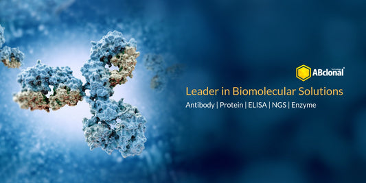 ABclonal: Precision Research Solutions for Life Sciences