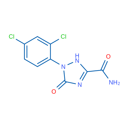 1-(2,4-Dichlorophenyl)-5-oxo-2,5-dihydro-1H-1,2,4-triazole-3-carboxamide 1g