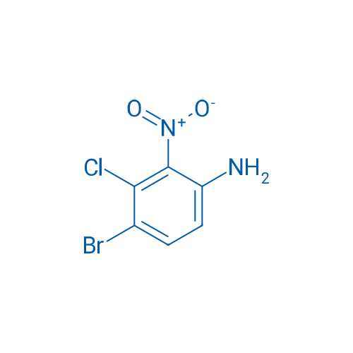 4-Bromo-3-chloro-2-nitroaniline 1g