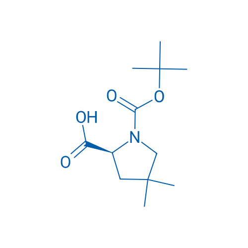 Boc-4,4-DiMe-Pro-OH 250mg