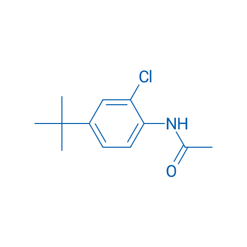 N-(4-(tert-Butyl)-2-chlorophenyl)acetamide 1g