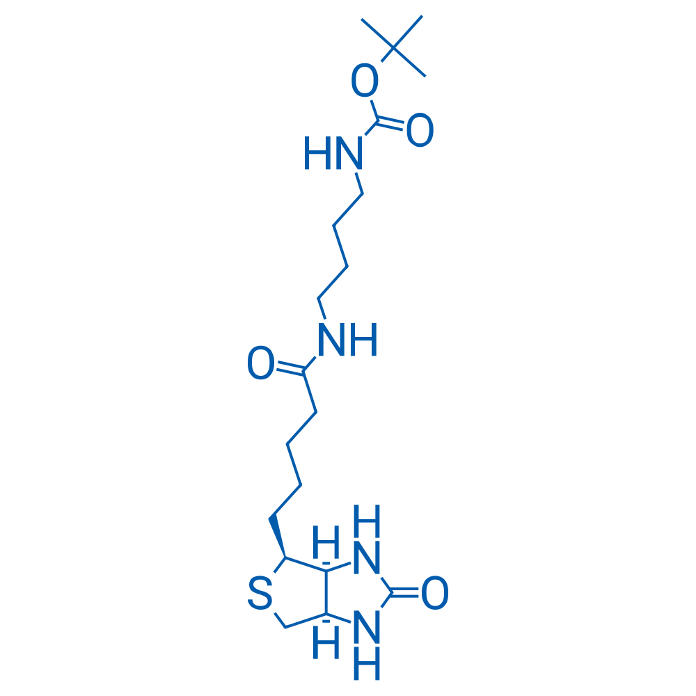 N-Biotinyl-N'-Boc-1,4-butanediamine 250mg
