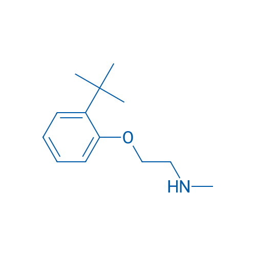 [2-(2-tert-Butylphenoxy)ethyl](methyl)amine 1g