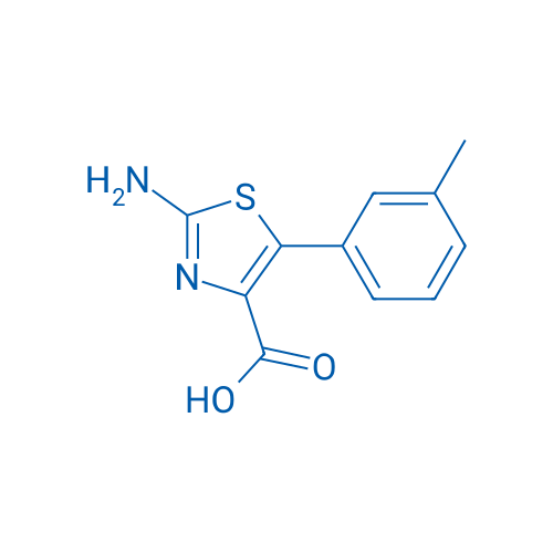 2-Amino-5-m-tolyl-thiazole-4-carboxylic acid 1g