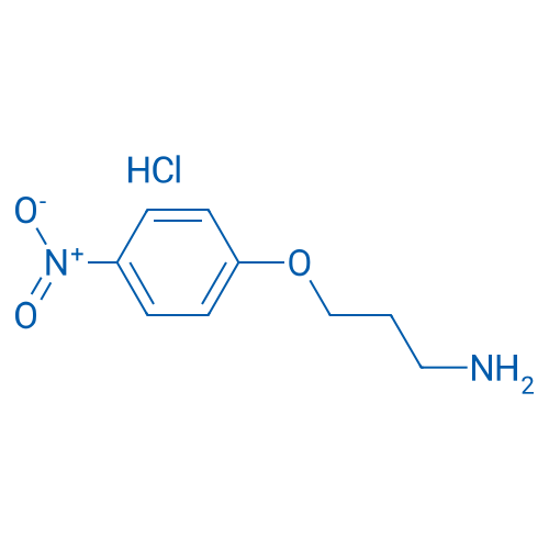 3-(4-Nitrophenoxy)-1-propanamine hydrochloride 250mg