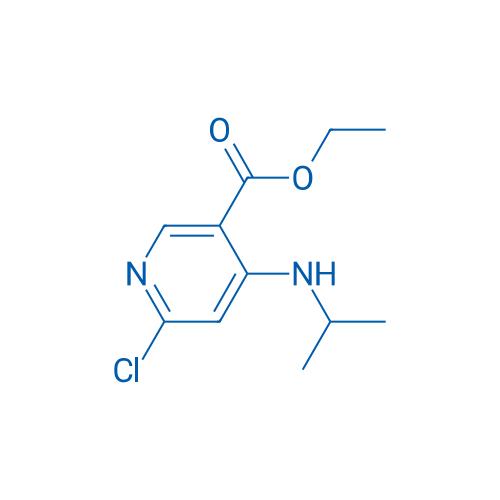 Ethyl 6-chloro-4-(isopropylamino)nicotinate 100mg